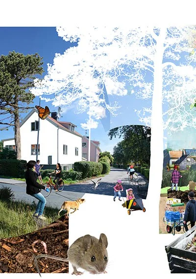 ”Inför miljödiplom för klimatanpassade villatomter”